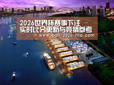 案例展示八