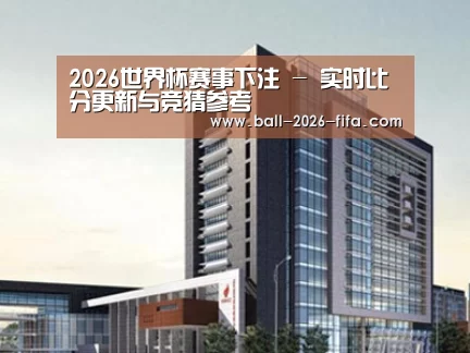 案例展示七
